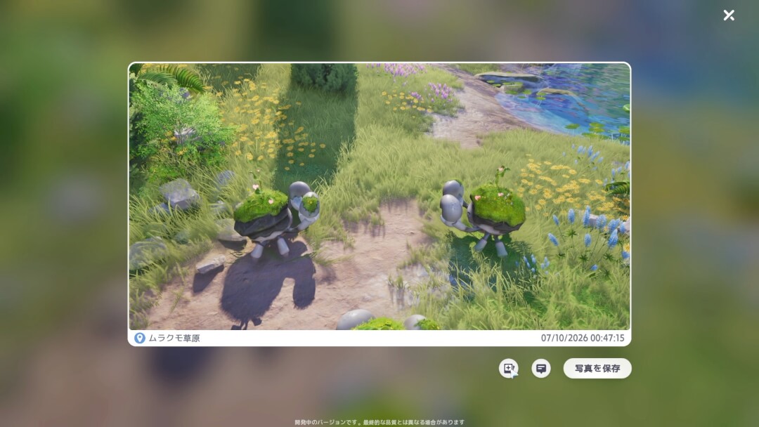 アニモ 写真