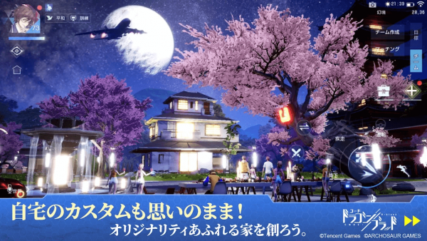 コード：ドラゴンブラッド