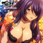 一騎当千 バーストファイト