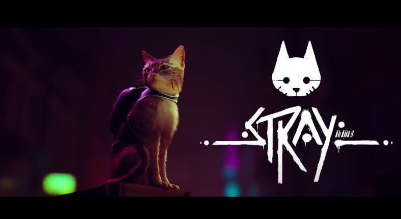 猫視点のアクションADV「Stray（ゲーム）」の発売日は2022年7月19日！最新情報