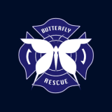 ガラパゴスの微振動