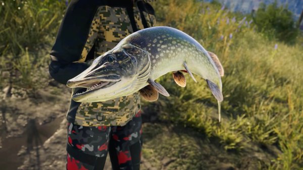 Call of the Wild：The Angler 魚